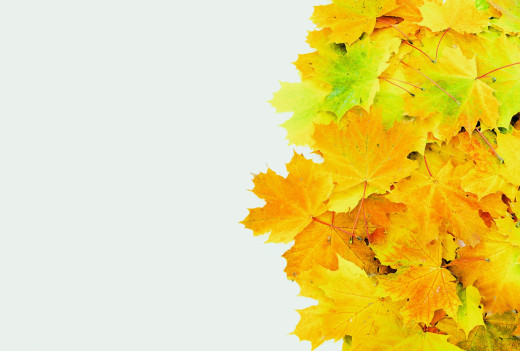 1723324 (a): :1920x1294